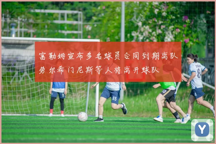 富勒姆宣布多名球员合同到期离队劳尔希门尼斯等人将离开球队