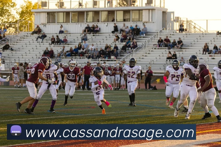 体育赛事